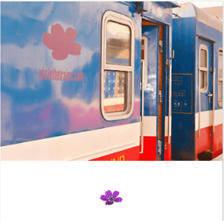 Violette Trains: